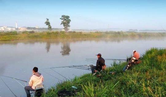 Fishing hard PC rod cases with EVA padding 39