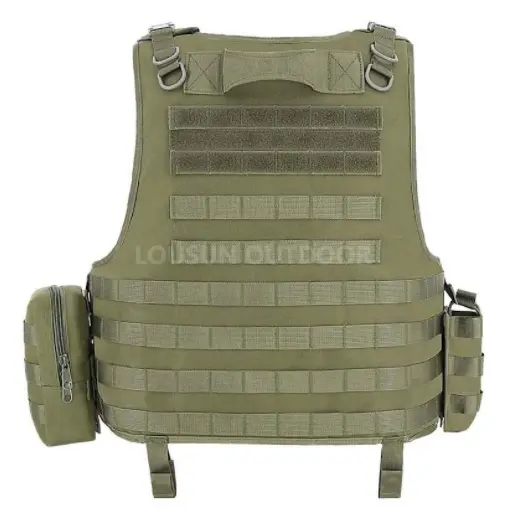LSV 1001-1.png